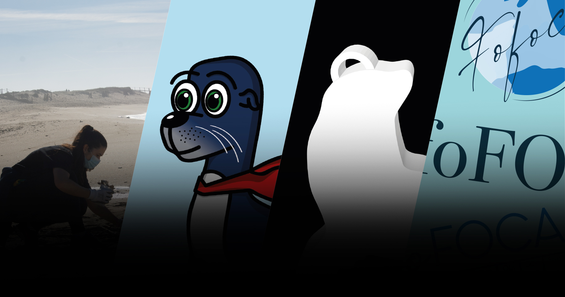FOCA